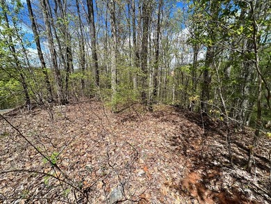 Large lot with great building site and beautiful views of the - photo 6