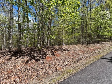 Large lot with great building site and beautiful views of the - photo 7