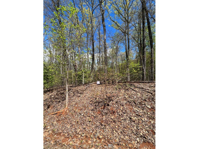 Large lot with great building site and beautiful views of the - photo 8