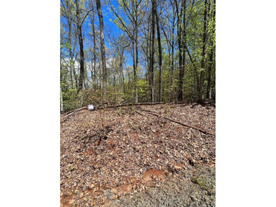 Large lot with great building site and beautiful views of the - photo 9