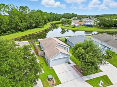 Lake Home For Sale in Wesley Chapel, Florida
