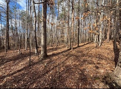 Lake Acreage For Sale in Moneta, Virginia