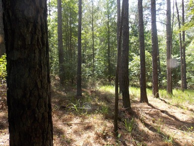 WATERFRONT - DOCKABLE FOR LESS-OVER 2AC-WITH - photo 2
