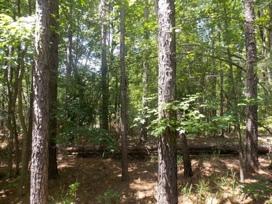 WATERFRONT - DOCKABLE FOR LESS-OVER 2AC-WITH - photo 3