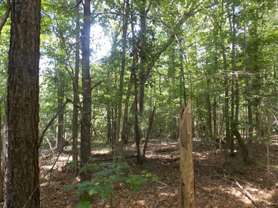 WATERFRONT - DOCKABLE FOR LESS-OVER 2AC-WITH - photo 4