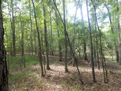 WATERFRONT - DOCKABLE FOR LESS-OVER 2AC-WITH - photo 5