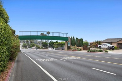 31012 Aliso Cir - photo 28