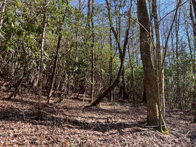 Wayah Road Frontage, easy access-nice laying land. nice big - photo 1