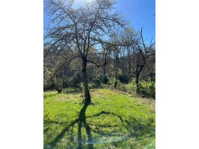 Wayah Road Frontage, easy access-nice laying land. nice big - photo 2