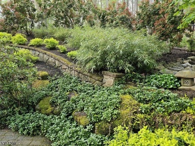 Nestled within the scenic Mendham Borough landscape, this - photo 33