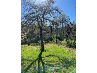 Wayah Road Frontage, easy access-nice laying land. nice big - photo 4