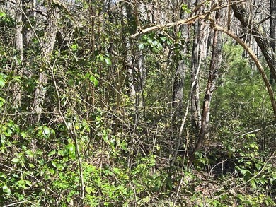 Wayah Road Frontage, easy access-nice laying land. nice big - photo 5