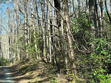 Wayah Road Frontage, easy access-nice laying land. nice big - photo 6