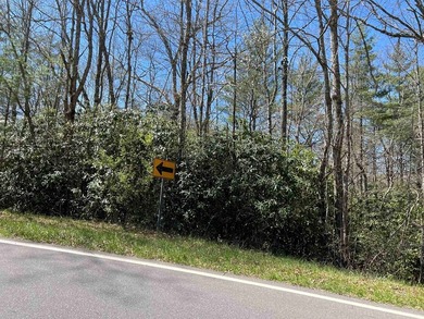 Wayah Road Frontage, easy access-nice laying land. nice big - photo 7