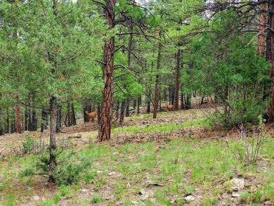 South Fork Rio Grande River Lot For Sale in South Fork Colorado