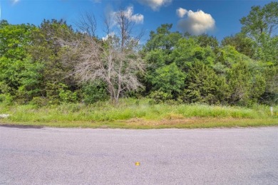 Lake Granbury Lot For Sale in Granbury Texas