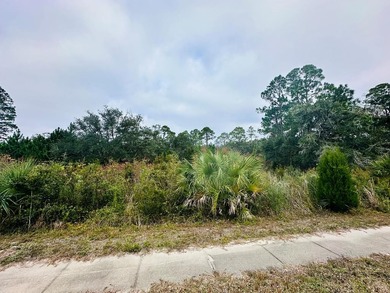 New River - Franklin County Lot For Sale in Carabelle Florida