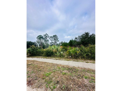 New River - Franklin County Lot For Sale in Carabelle Florida