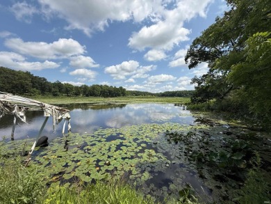 Lake Acreage Sale Pending in Plymouth, Indiana