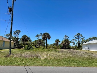 Build your Florida dream home on this prime residential lot - photo 4