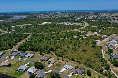Build your Florida dream home on this prime residential lot - photo 6
