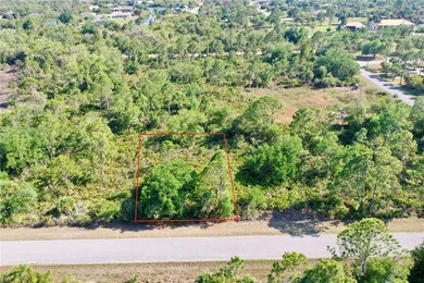 Standard lot for sale in Port Charlotte! Featuring 80ft of road - photo 1