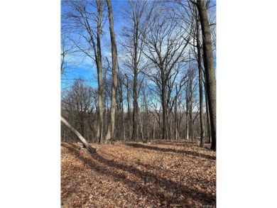 Lake Lot For Sale in Pawling, New York