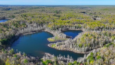 (private lake, pond, creek) Acreage For Sale in Drummond Wisconsin