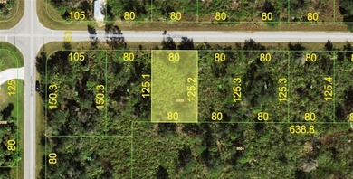 Standard lot for sale in Port Charlotte! Featuring 80ft of road - photo 3