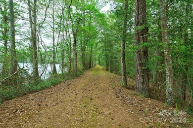 Goodwill Estate is a 736-acre, 7-parcel, gated haven. Surrounded - photo 35