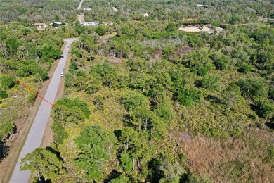 Standard lot for sale in Port Charlotte! Featuring 80ft of road - photo 5