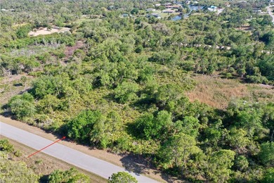 Standard lot for sale in Port Charlotte! Featuring 80ft of road - photo 7