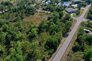 Standard lot for sale in Port Charlotte! Featuring 80ft of road - photo 8