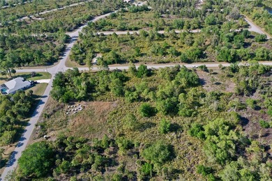 Standard lot for sale in Port Charlotte! Featuring 80ft of road - photo 10