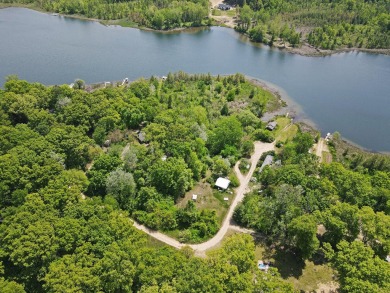 Lake Acreage For Sale in Delton, Michigan