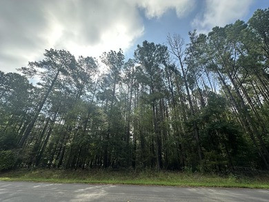 Strom Thurmond / Clarks Hill Lake Acreage For Sale in Parksville South Carolina