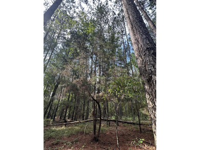 Great Acreage ready for your next Lake Home in the beautiful - photo 3