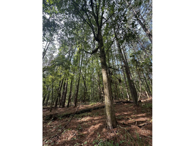 Great Acreage ready for your next Lake Home in the beautiful - photo 4