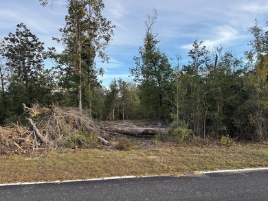 Dead Lake Lot For Sale in Kinard Florida
