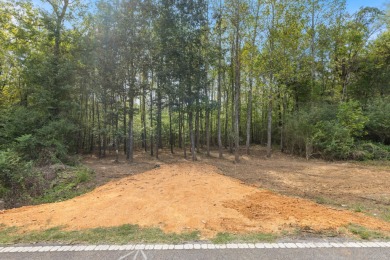 Lake Acreage For Sale in Florence, Alabama
