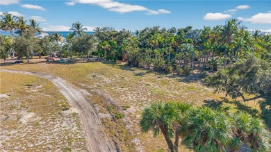 Located atop one of the tallest ridges in Lee County-possibly - photo 8