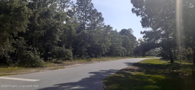 Build your dream home! One acre corner lot. Great location close - photo 2