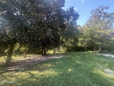 Discover peace and potential with this beautiful property - photo 4