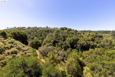 Transparent Pricing!!! Perched high in Sequoyah Highlands, this - photo 43