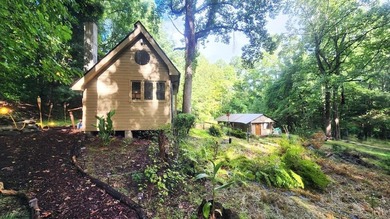 (private lake, pond, coastal) Home Sale Pending in Floyd Virginia