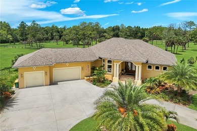 A rare offering in Naples, this extraordinary estate spans - photo 3