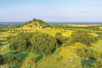 The Aces Ranch is a stunning ~190-acre turnkey Texas ranch with - photo 9