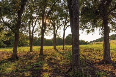 The Aces Ranch is a stunning ~190-acre turnkey Texas ranch with - photo 10