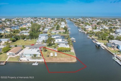 (private lake, pond, creek) Lot For Sale in Hernando Beach Florida