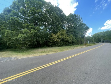 Lake Lot For Sale in Hernando, Mississippi